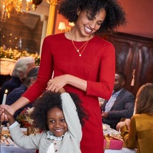 Boden Jacquard 3/4 sleeve red shift dress
